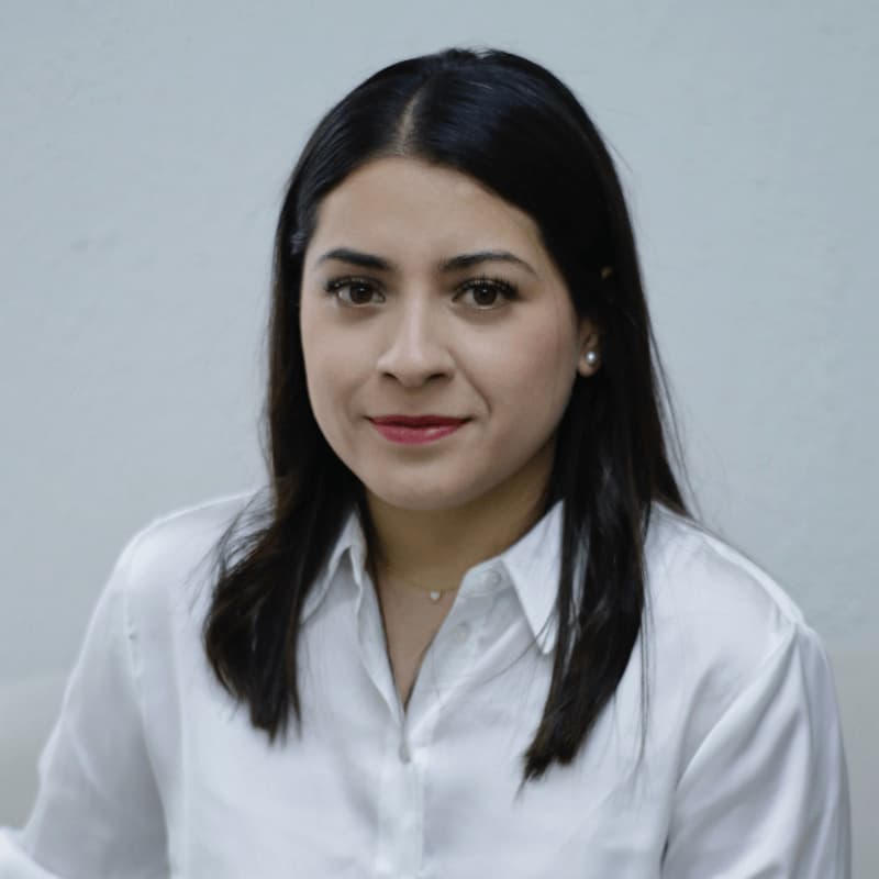 BRISEIDA JANET SANTOS LANDEROS